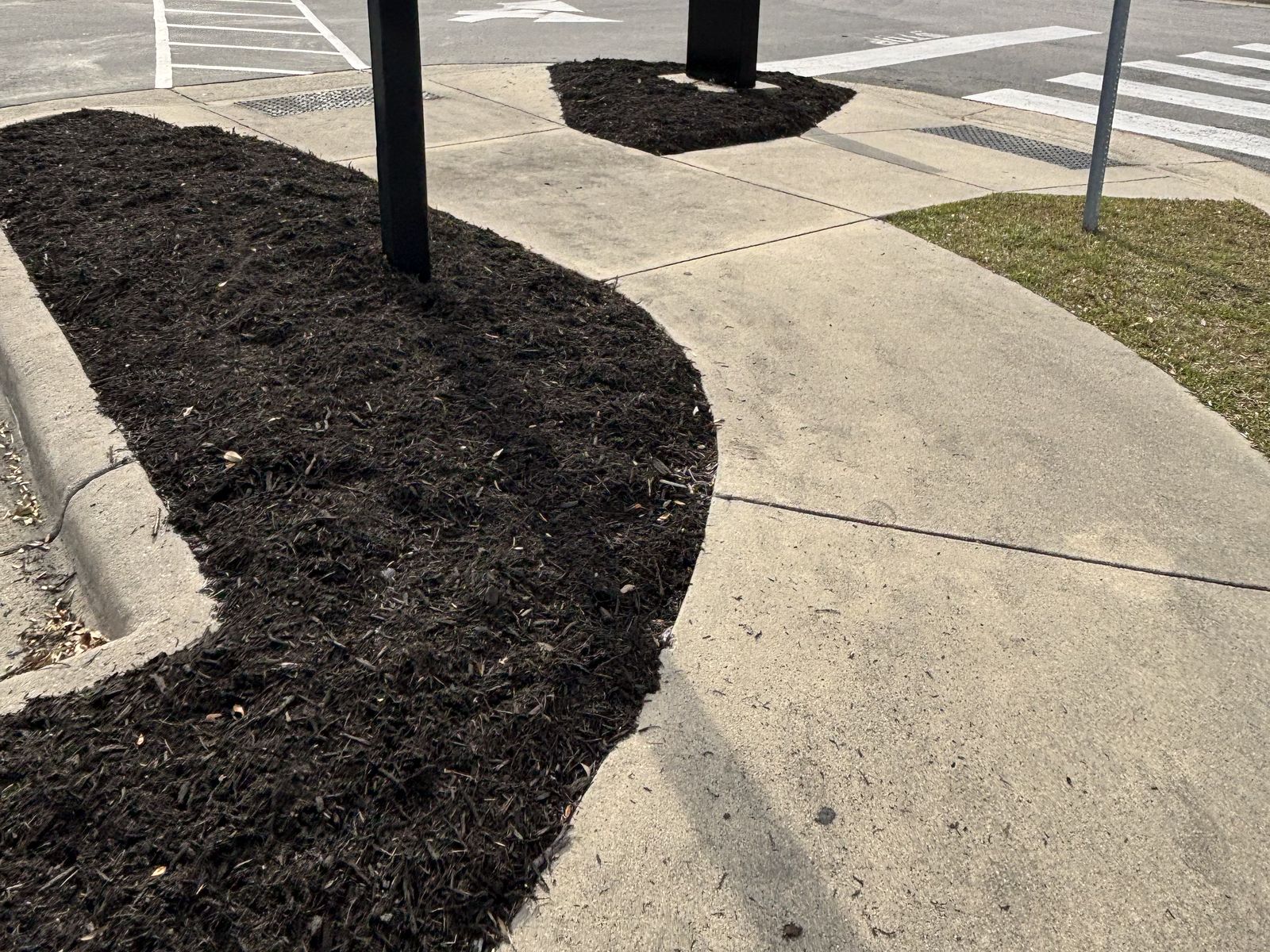 TBE Services lawn care work photo