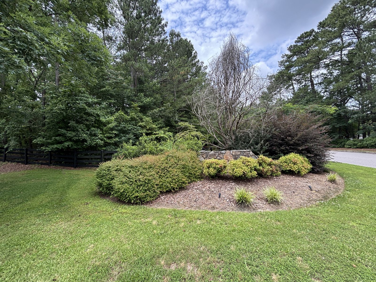 TBE Services lawn care work photo
