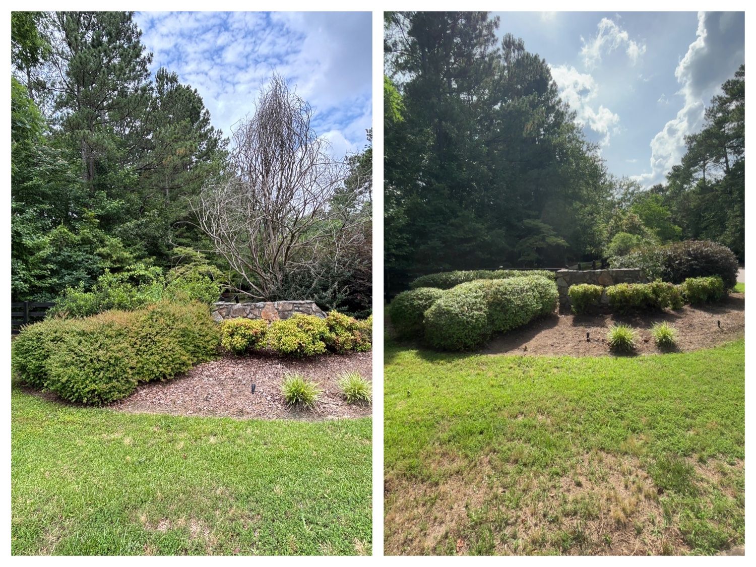 TBE Services lawn care work photo